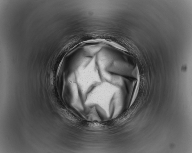 X0000099510380200806121444