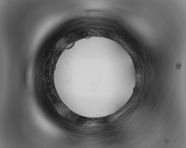 X0000099510381200806121444