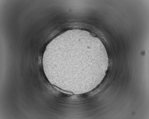 X0000099510382200806121444