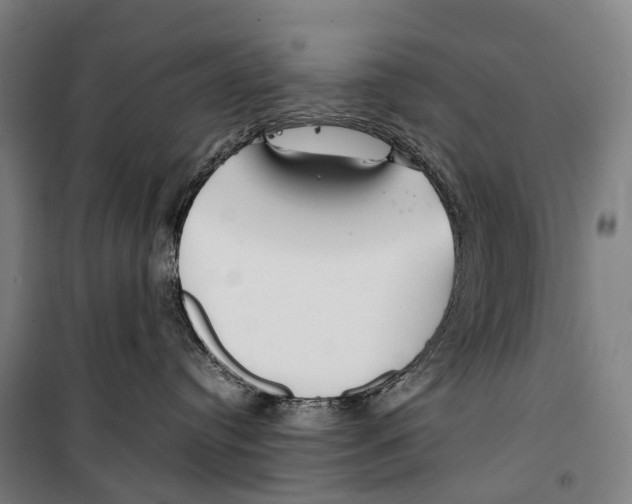 X0000099510384200806121444