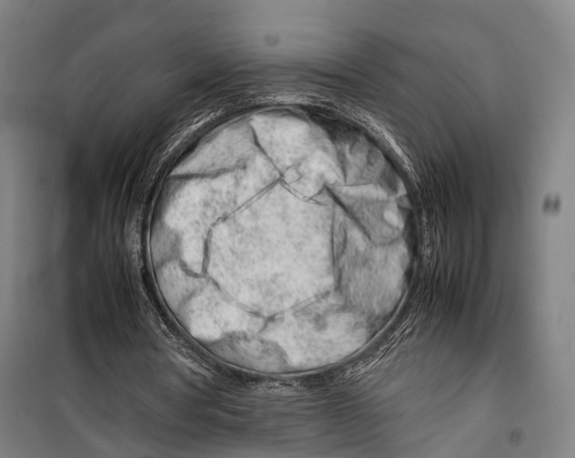 X0000099510386200806121444