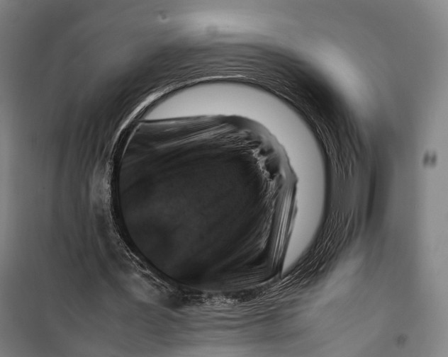 X0000099510387200806121444
