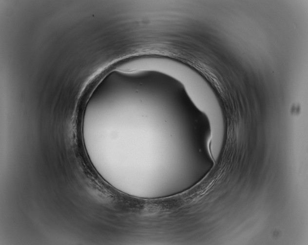 X0000099510388200806121444
