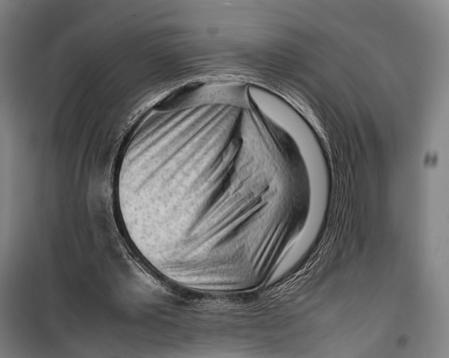 X0000099510389200806121444