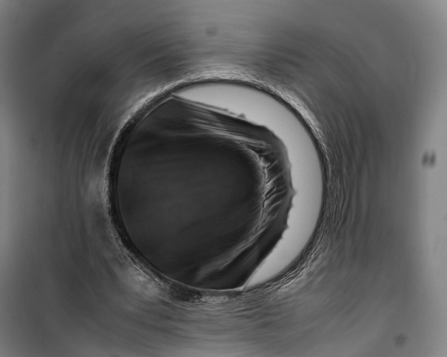 X0000099510391200806121444