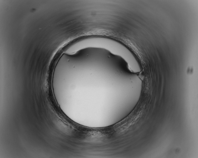 X0000099510392200806121444