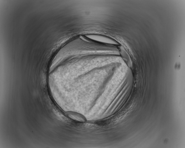 X0000099510393200806121444