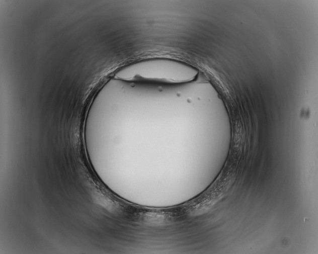 X0000099510394200806121444