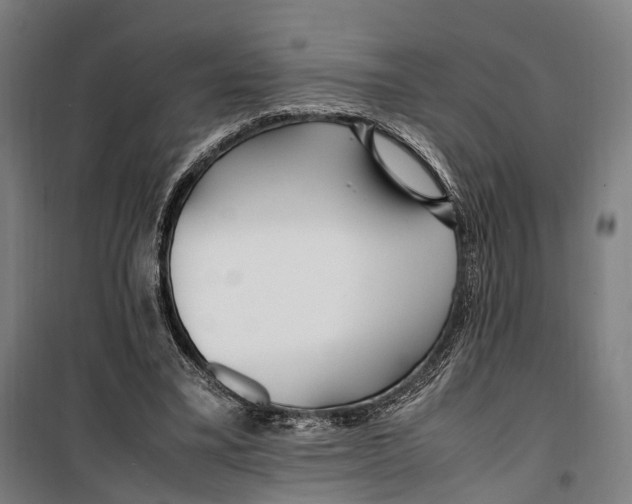 X0000099510395200806121444