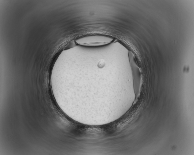X0000099510397200806121444