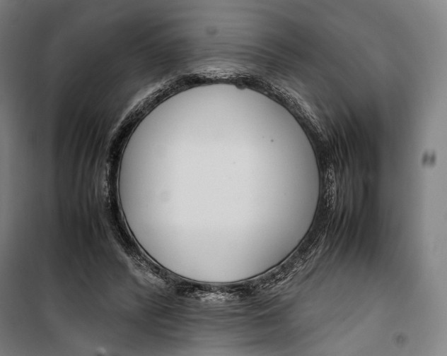 X0000099510400200806121443