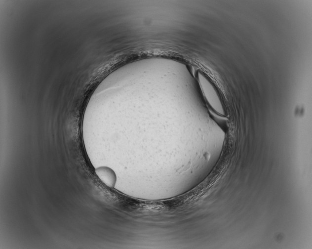 X0000099510401200806121443