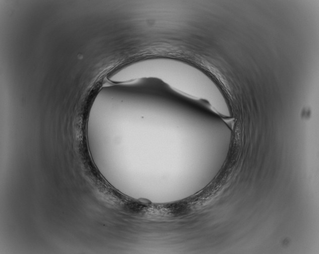 X0000099510403200806121443
