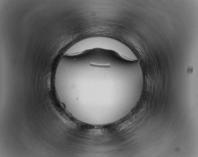 X0000099510404200806121443