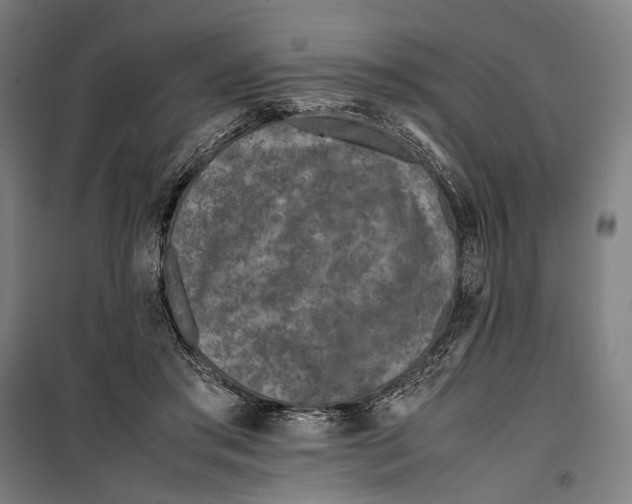 X0000099510405200806121443
