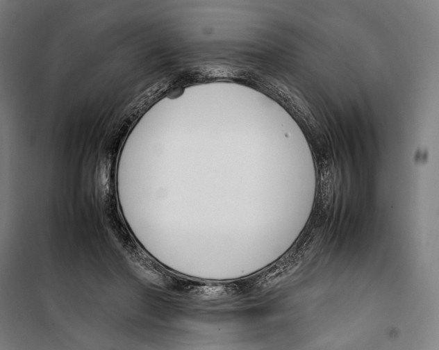 X0000099510406200806121443