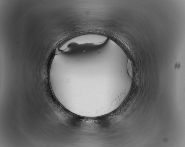 X0000099510407200806121443