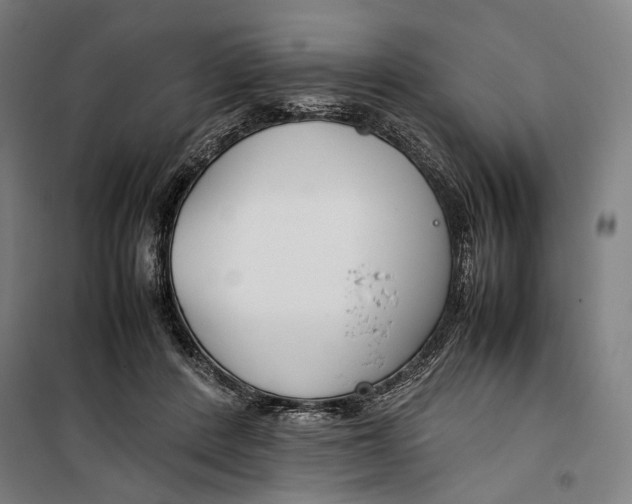 X0000099510408200806121443