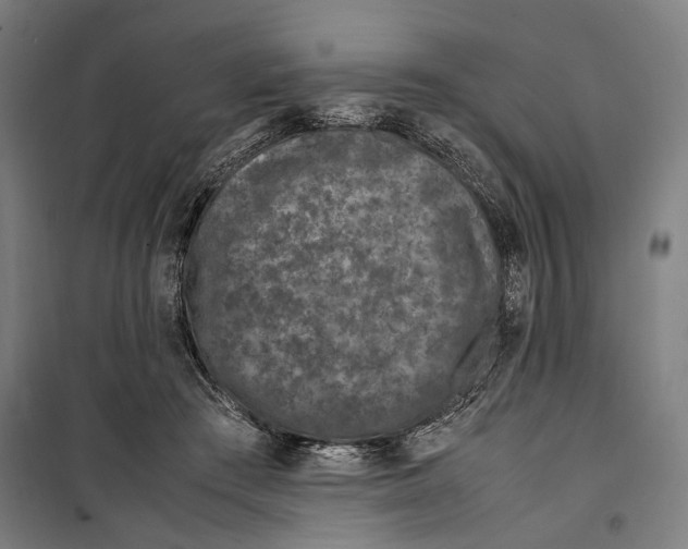 X0000099510409200806121443