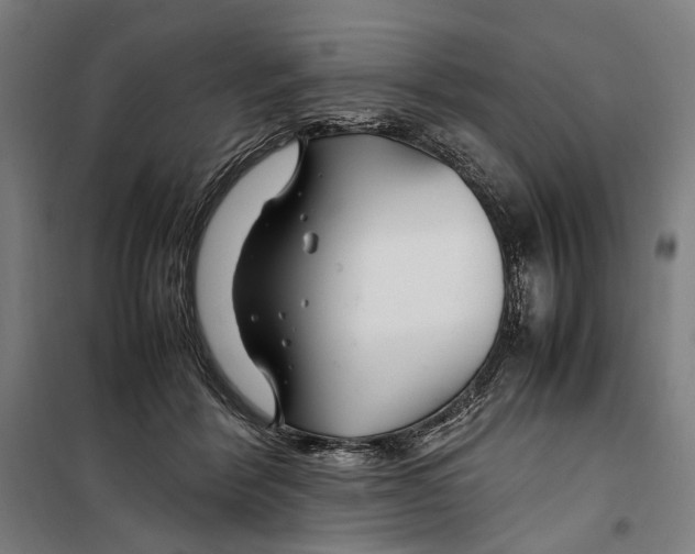 X0000099510412200806121443