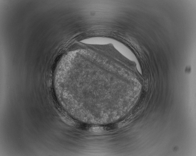 X0000099510413200806121443