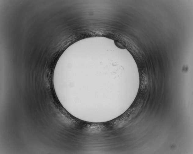 X0000099510414200806121443