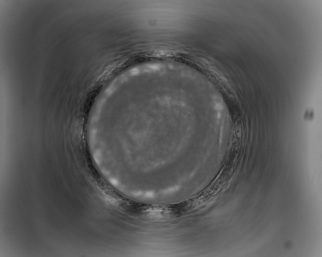 X0000099510415200806121443
