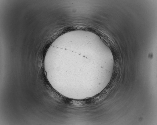 X0000099510417200806121443