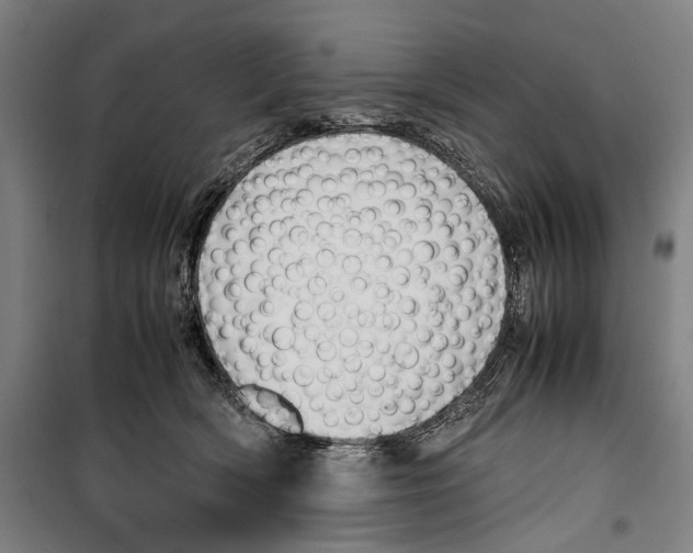 X0000099510418200806121443