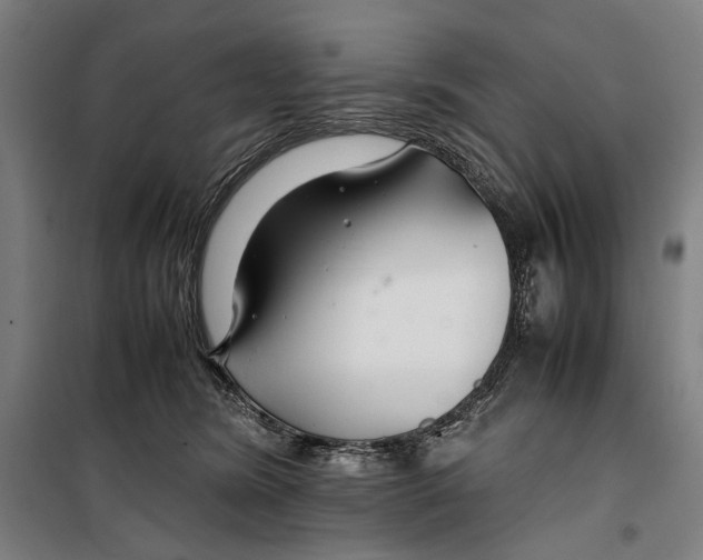 X0000099510420200806121443