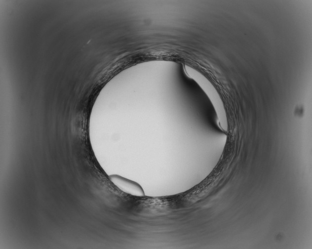 X0000099510421200806121443