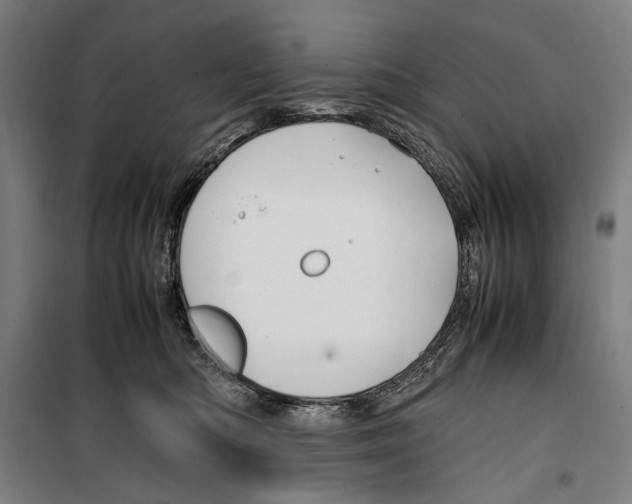 X0000099510422200806121443