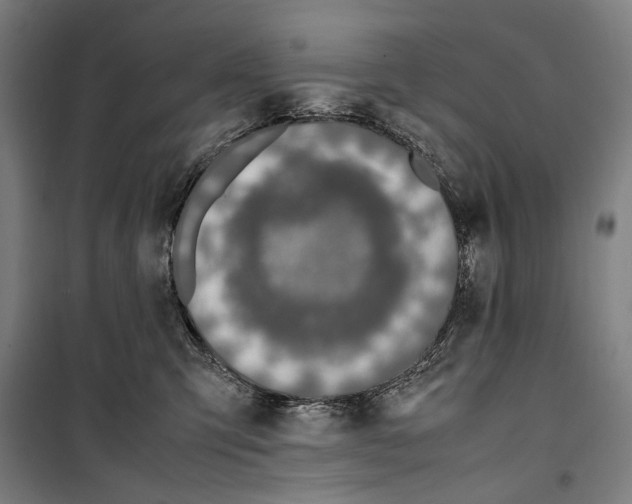 X0000099510423200806121443