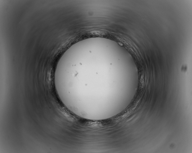 X0000099510424200806121443