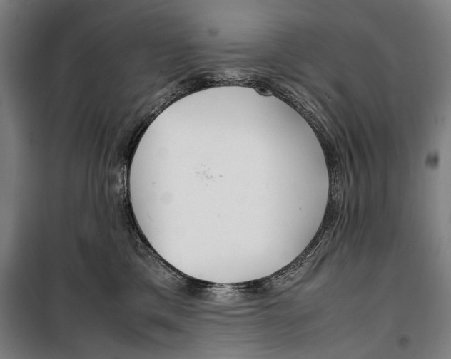 X0000099510425200806121443