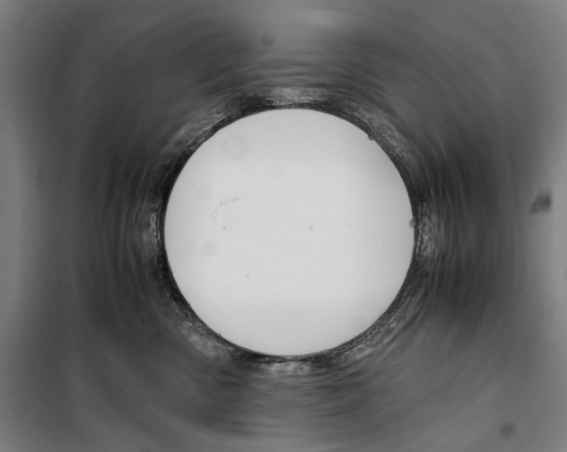 X0000099510426200806121443