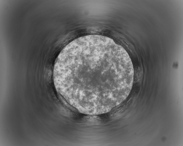 X0000099510427200806121443