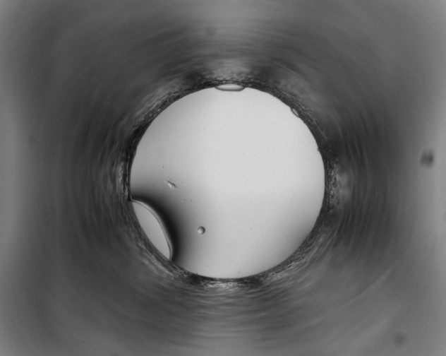 X0000099510428200806121443