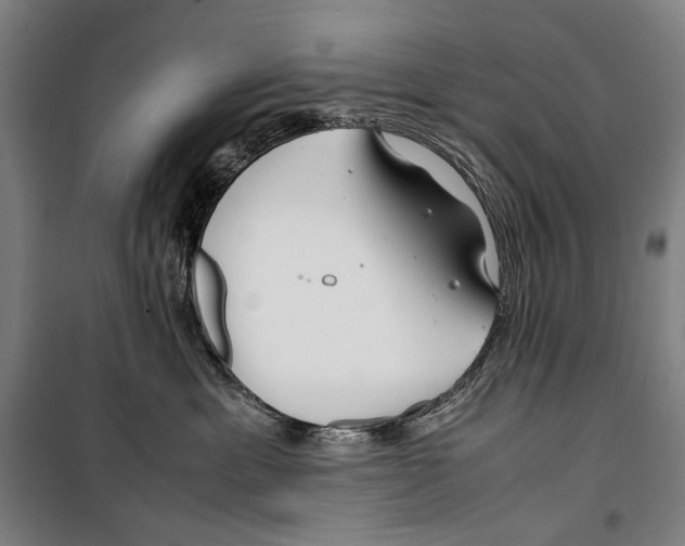 X0000099510429200806121443