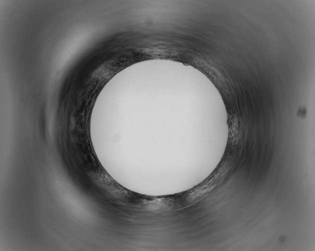 X0000099510430200806121443