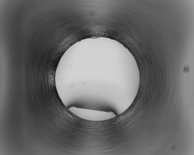 X0000099510432200806121443