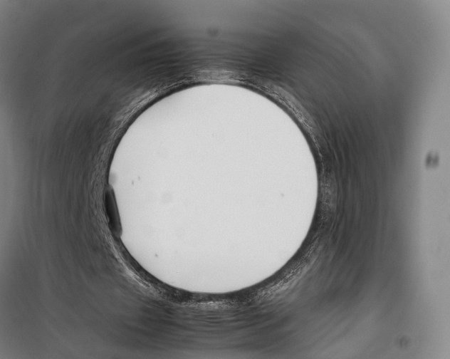X0000099510433200806121442
