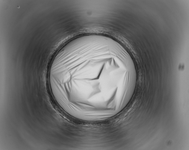 X0000099510434200806121442