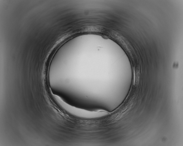 X0000099510435200806121442