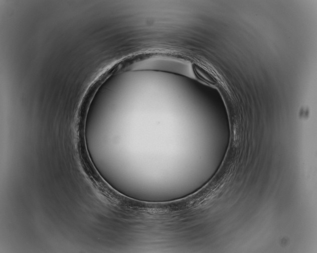 X0000099510436200806121442