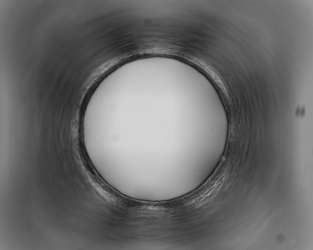 X0000099510437200806121442