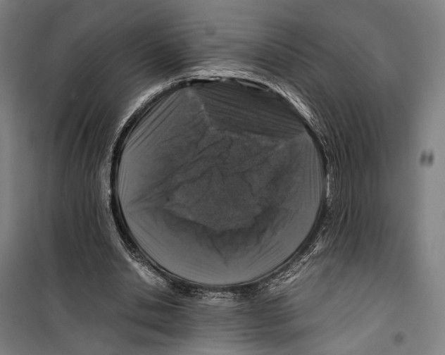 X0000099510438200806121442