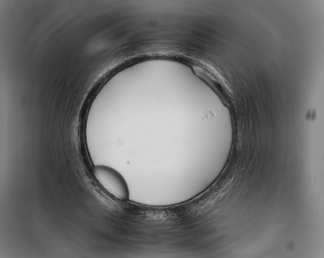 X0000099510439200806121442