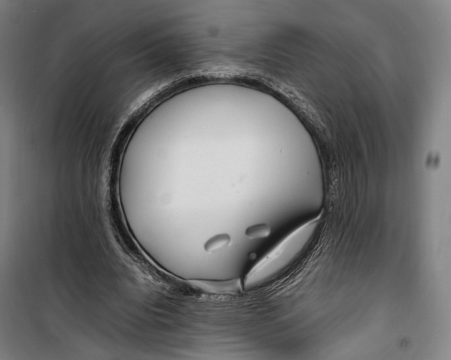 X0000099510440200806121442