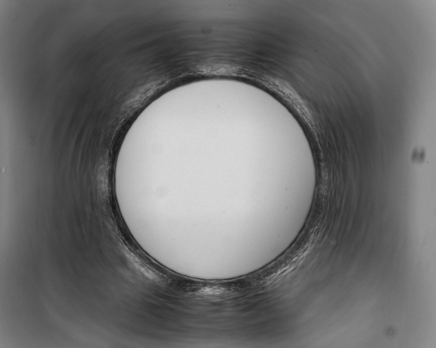 X0000099510441200806121442
